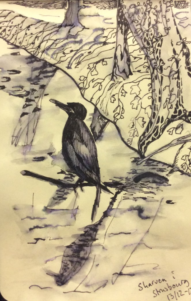 A8C7288E-AA5D-4586-A30C-A1A60E84C652